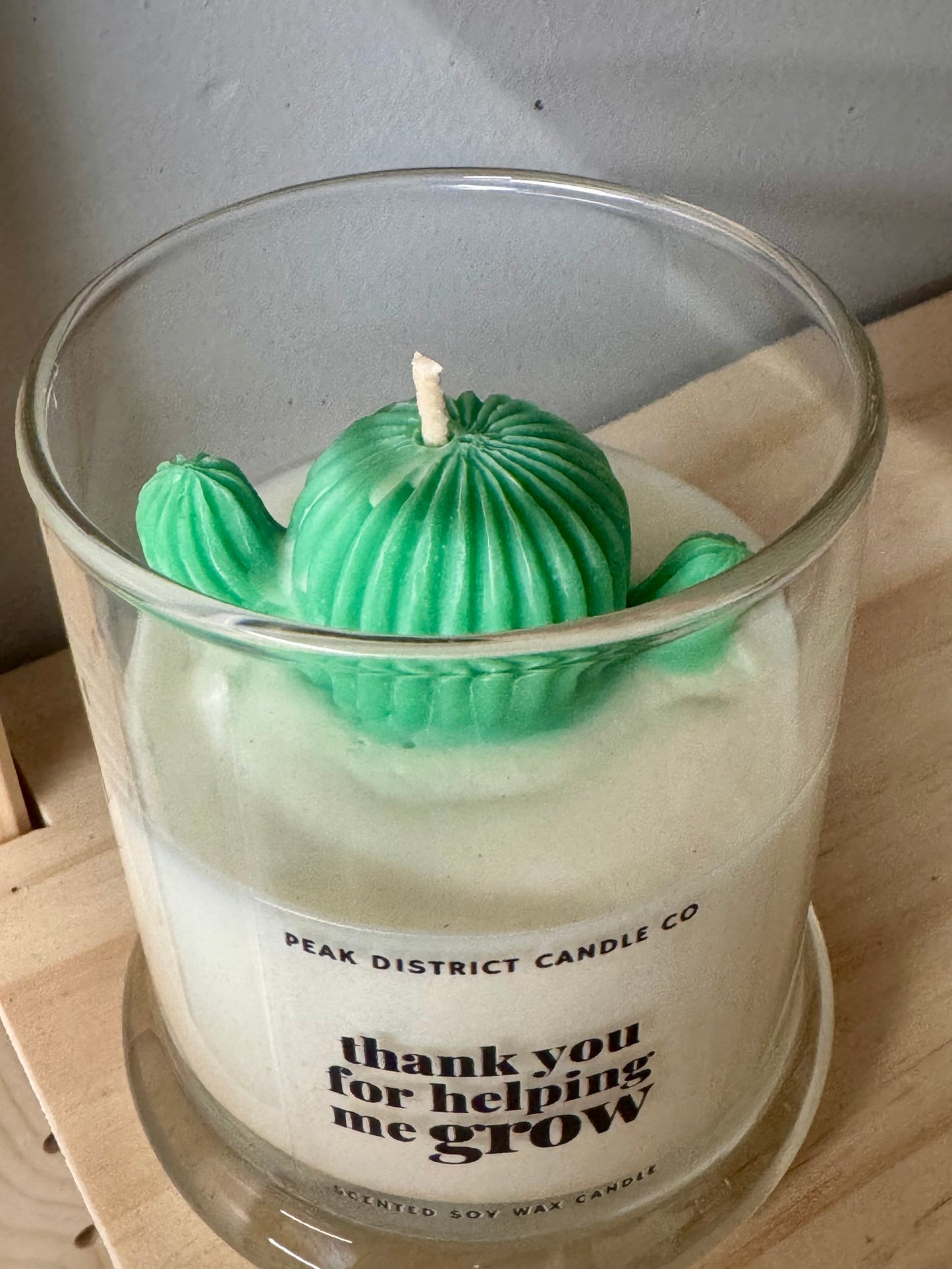 Imperfect Cactus Candle