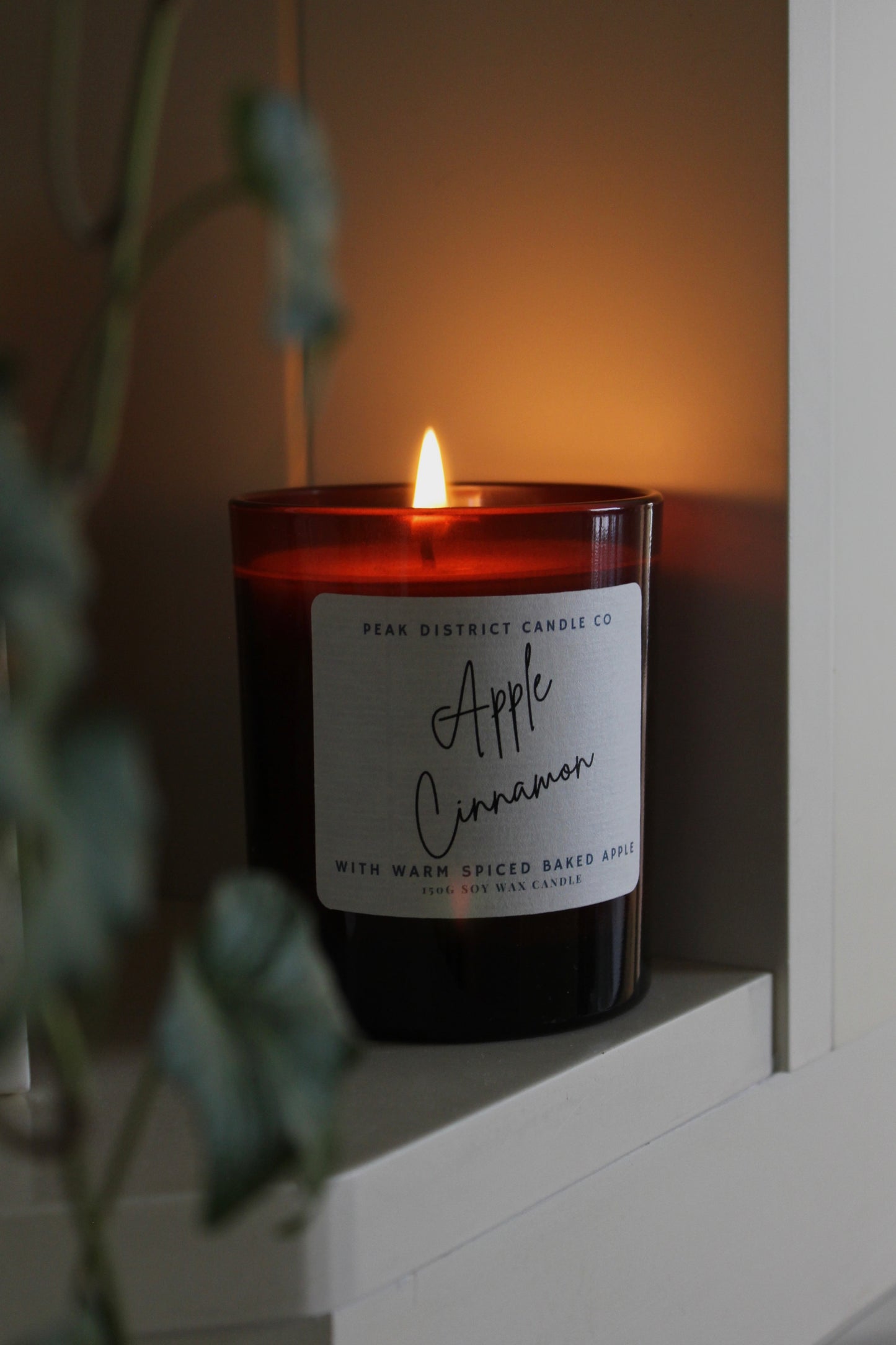Apple Cinnamon Soy Candle