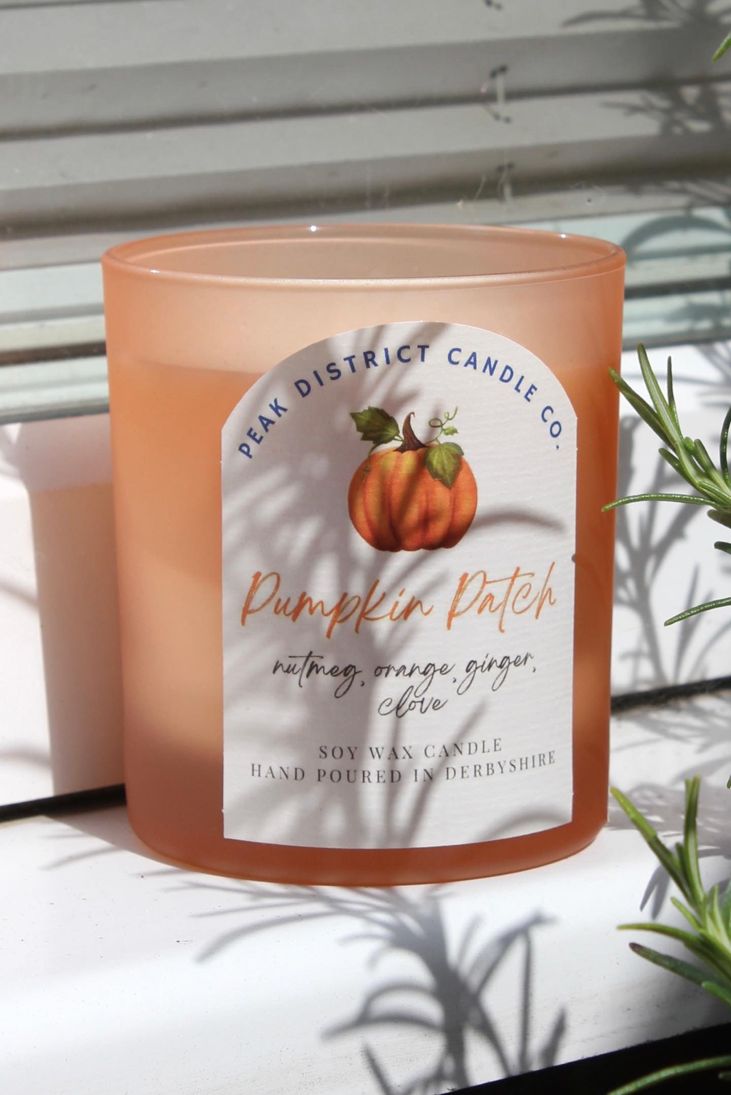 Pumpkin Patch Soy Candle