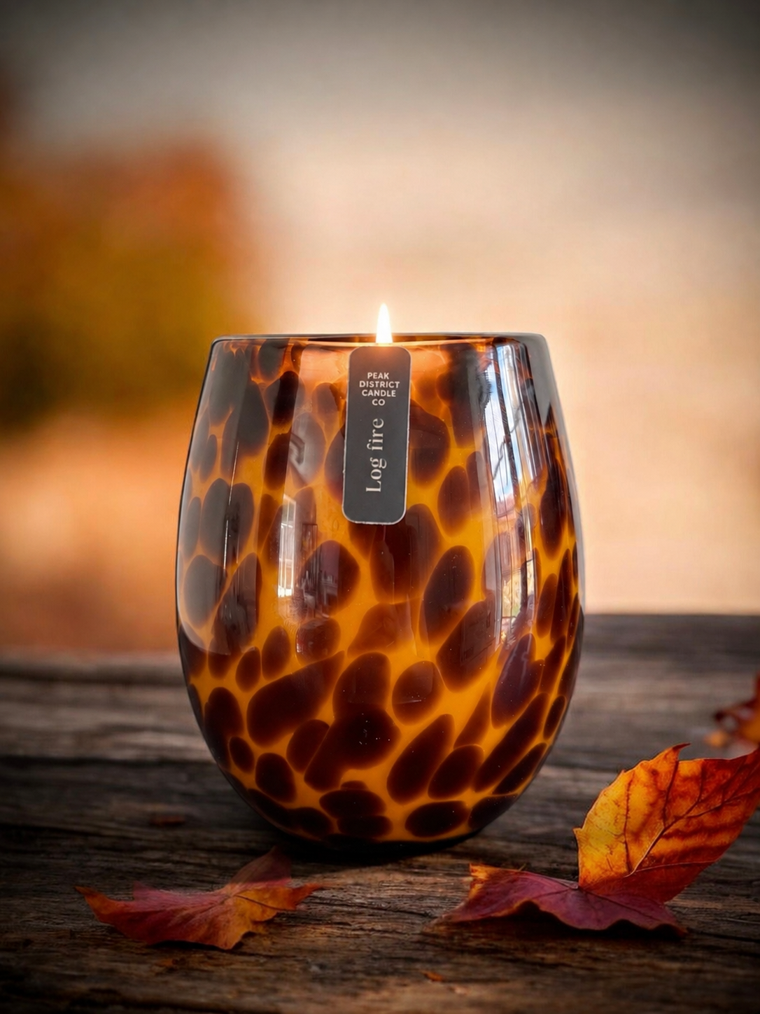 Log Fire - Large Leopard Jar