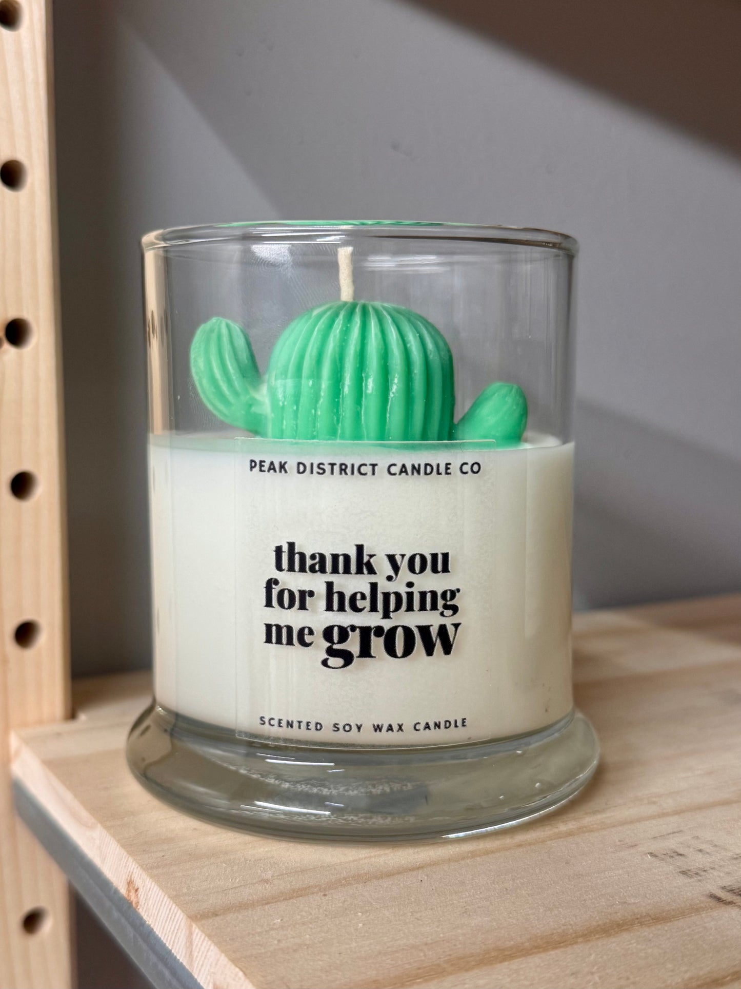 Imperfect Cactus Candle