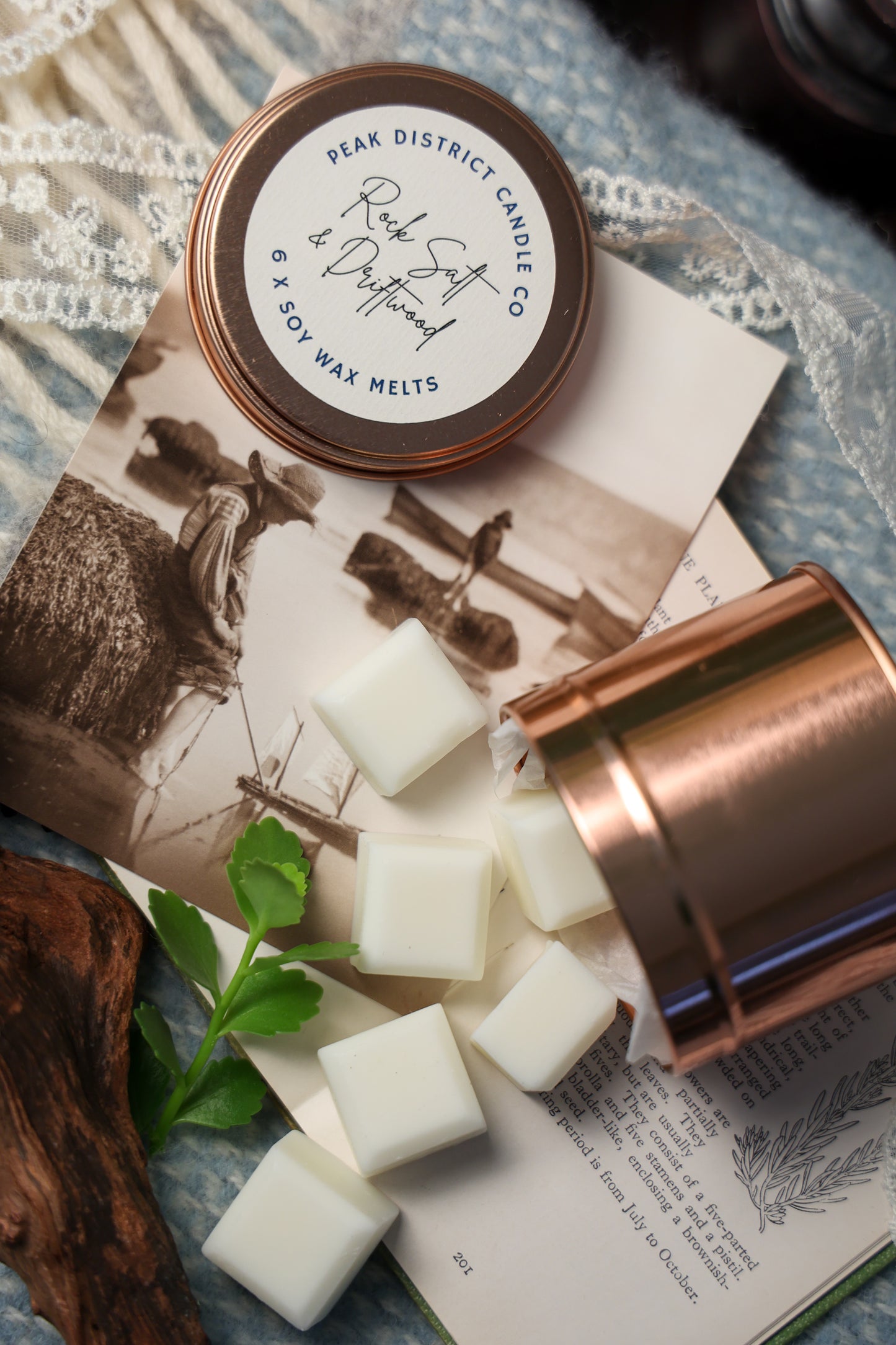 Rock Salt & Driftwood Wax Melts