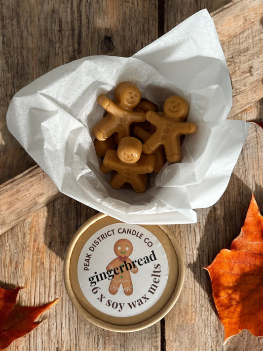 Gingerbread Soy Wax Melts