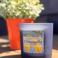 Large Citronella Soy Candle