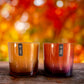 Apple Cinnamon Soy XL Candle